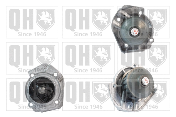 Water Pump, engine cooling (QCP3370)