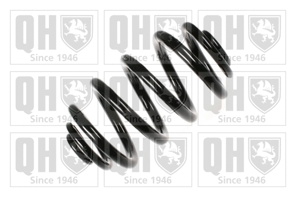 Suspension Spring (QCS5469)