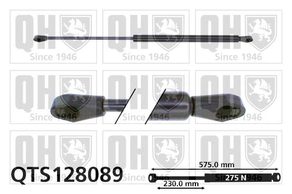Gas Spring, boot/cargo area (QTS128089)