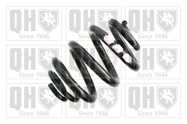 Suspension Spring (QCS6750)