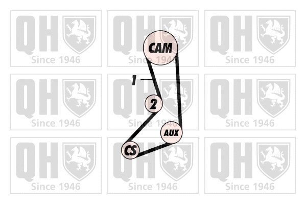 Timing Belt Kit (QBK250)