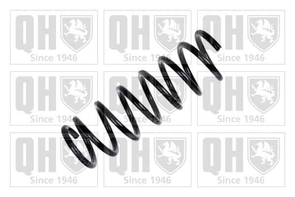 Suspension Spring (QCS5849)