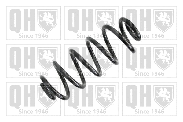 Suspension Spring (QCS8088)