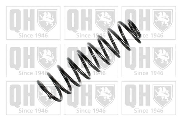 Suspension Spring (QCS5733)