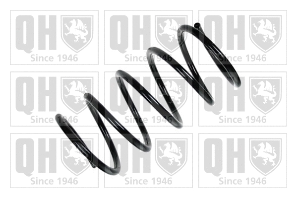 Suspension Spring (QCS6522)