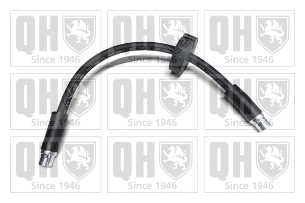 Brake Hose (BFH6059)