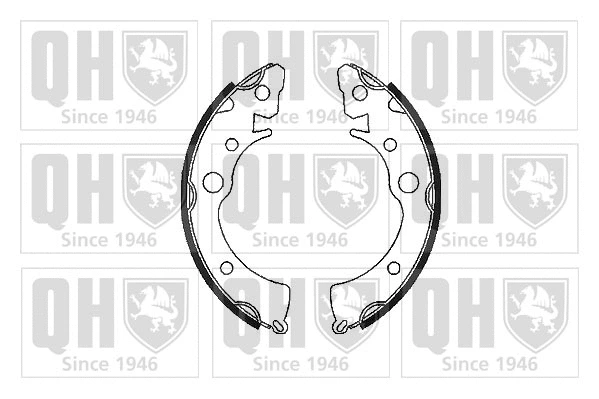 Brake Shoe Set (BS689)