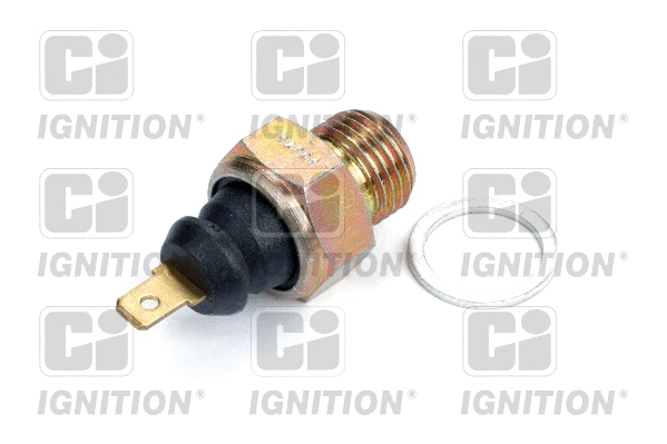 Oil Pressure Switch (XOPS86)