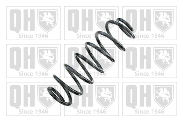 Suspension Spring (QCS9070)