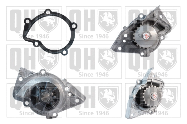 Water Pump, engine cooling (QCP2891)