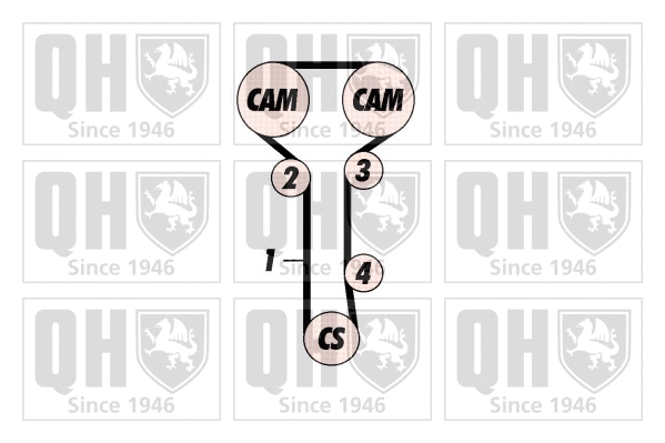 Timing Belt Kit (QBK560)