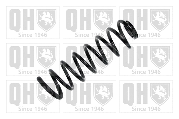 Suspension Spring (QCS6569)