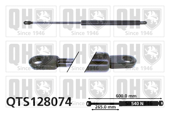 Gas Spring, boot/cargo area (QTS128074)