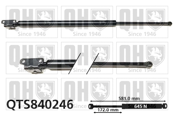 Gas Spring, boot/cargo area (QTS840246)