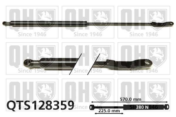 Gas Spring, boot/cargo area (QTS128359)