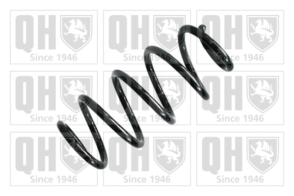 Suspension Spring (QCS6799)
