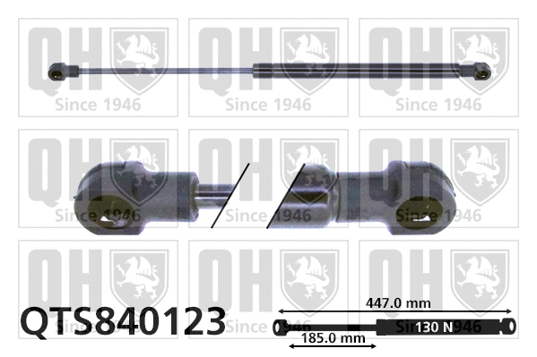 Gas Spring, rear window (QTS840123)