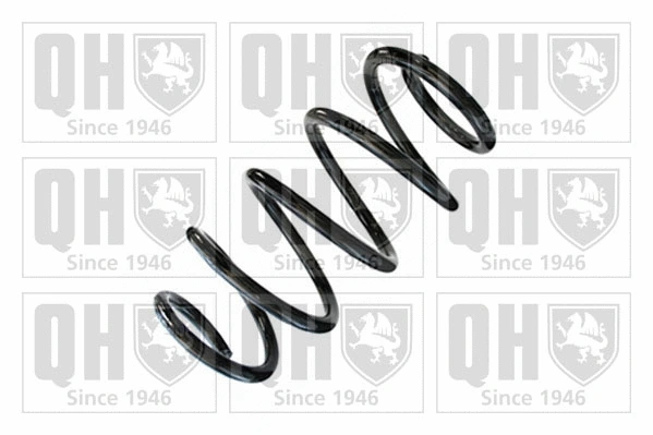 Suspension Spring (QCS8939)