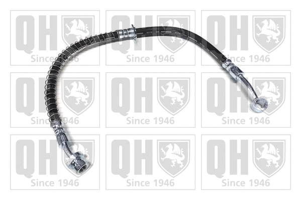 Brake Hose (BFH6175)