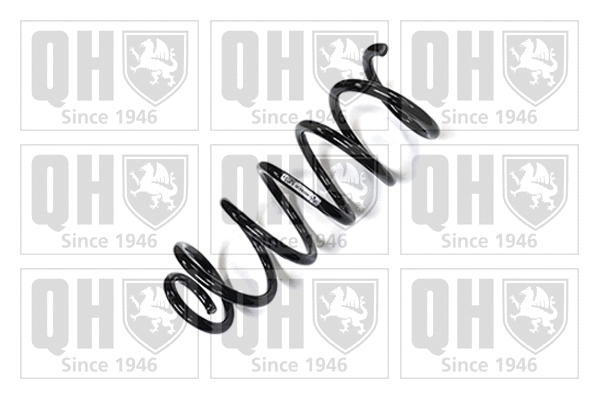 Suspension Spring (QCS6334)