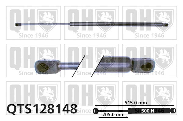 Gas Spring, boot/cargo area (QTS128148)