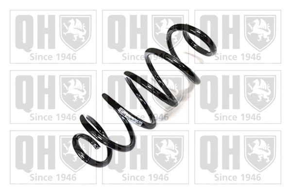 Suspension Spring (QCS8717)