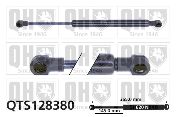 Gas Spring, boot/cargo area (QTS128380)
