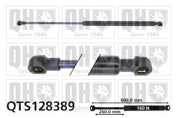 Gas Spring, boot/cargo area (QTS128389)