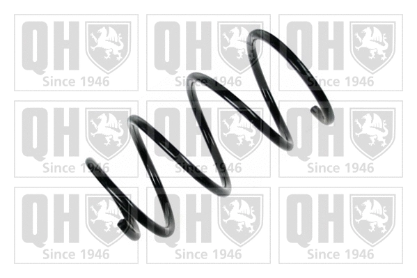 Suspension Spring (QCS5448)