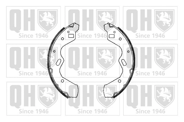 Brake Shoe Set (BS1081)