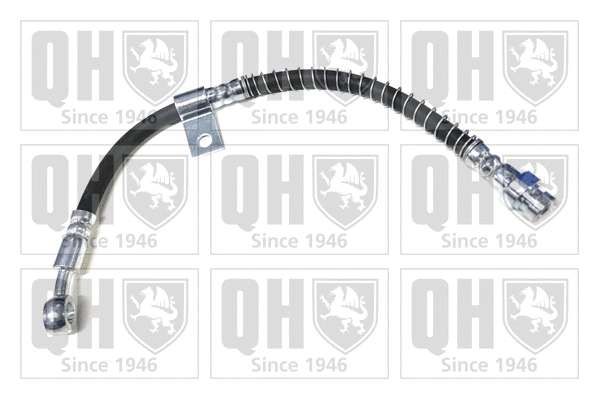 Brake Hose (BFH5496)