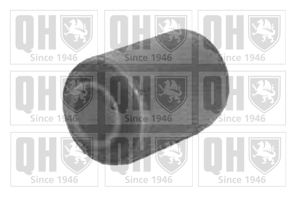 Mounting, control/trailing arm (EMS1524)