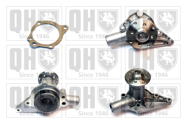 Water Pump, engine cooling (QCP556)