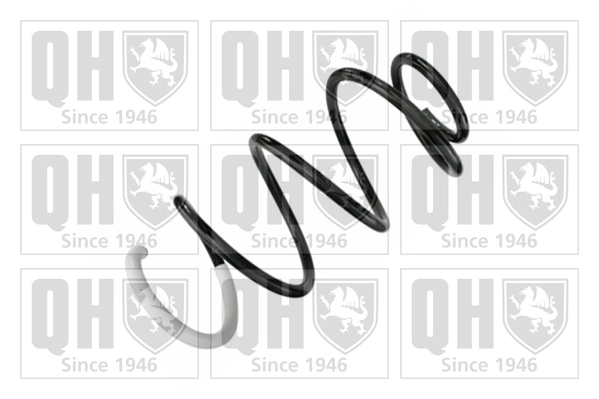 Suspension Spring (QCS8556)