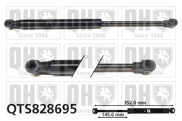 Gas Spring, boot/cargo area (QTS828695)