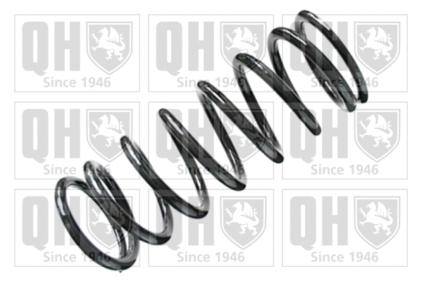 Suspension Spring (QCS5874)