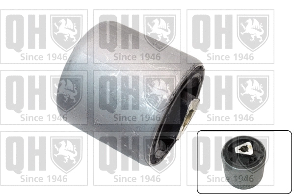 Mounting, control/trailing arm (EMS8347)