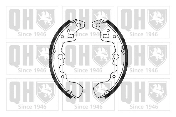 Brake Shoe Set (BS930)