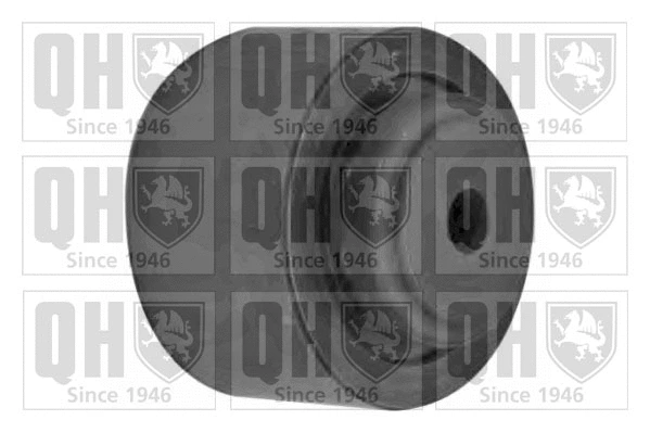 Deflection/Guide Pulley, timing belt (QTT682)