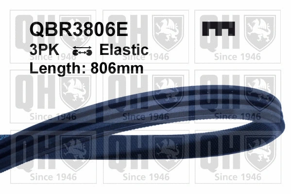 V-Ribbed Belt (QBR3806E)