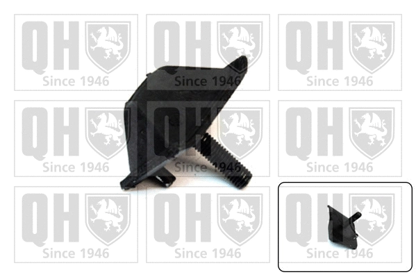 Mounting, engine (EM2131)