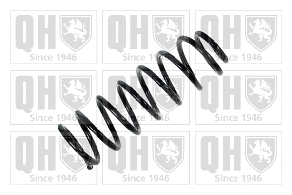 Suspension Spring (QCS6388)