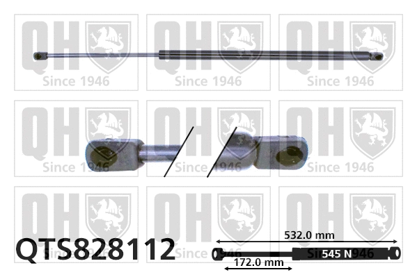 Gas Spring, boot/cargo area (QTS828112)