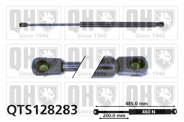 Gas Spring, boot/cargo area (QTS128283)