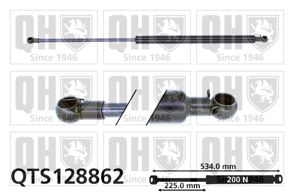 Gas Spring, boot/cargo area (QTS128862)