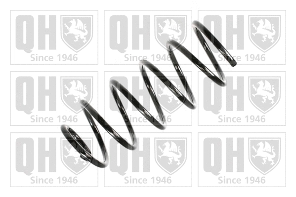 Suspension Spring (QCS5131)