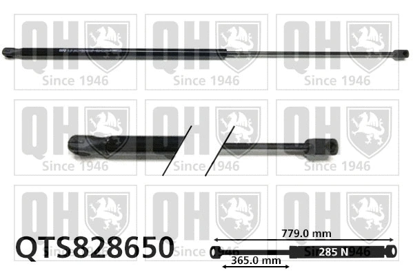 Gas Spring, bonnet (QTS828650)