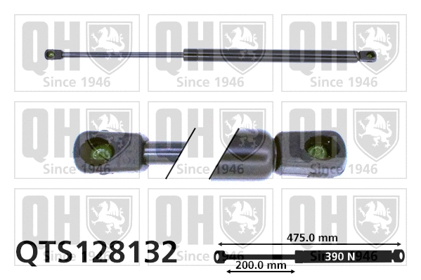 Gas Spring, boot/cargo area (QTS128132)