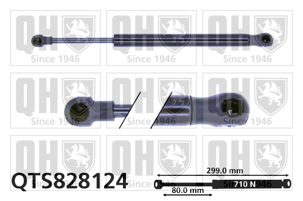 Gas Spring, boot/cargo area (QTS828124)