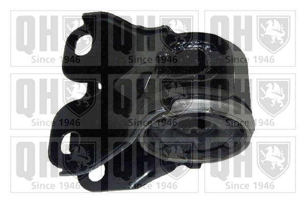 Mounting, control/trailing arm (EMS8446)